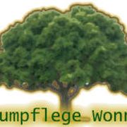 Baumpflege & Gartengestaltung Wonner in Wakendorf II