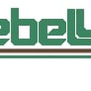 Georg Ebell GmbH & Co. Dachdeckerei KG in Ludwigsfelde