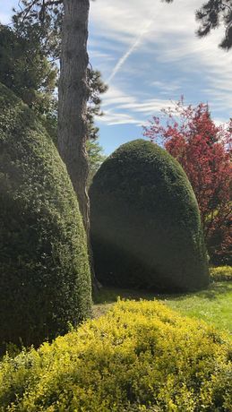 Beispielarbeit von Immocare-Lolagar - veröffentlicht auf Gartenbau.org
