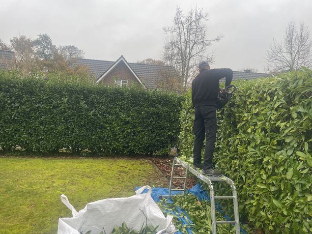Beispielarbeit von Pavel Gilca - veröffentlicht auf Gartenbau.org