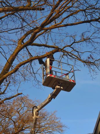 Beispielarbeit von Grüne Gärten Berlin - Jan Risse - veröffentlicht auf Gartenbau.org