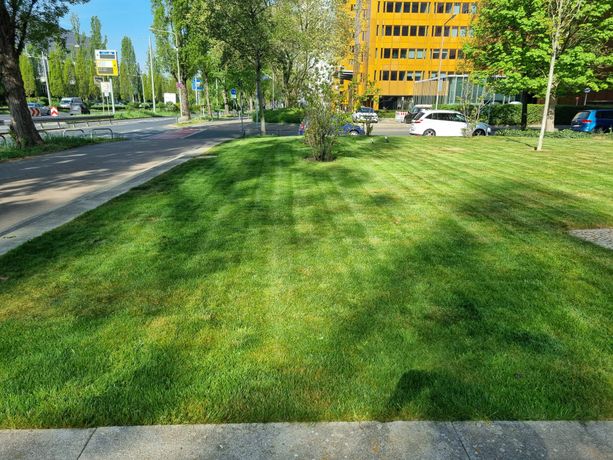 Beispielarbeit von Garten- und Landschaftsbau Jamel - veröffentlicht auf Gartenbau.org