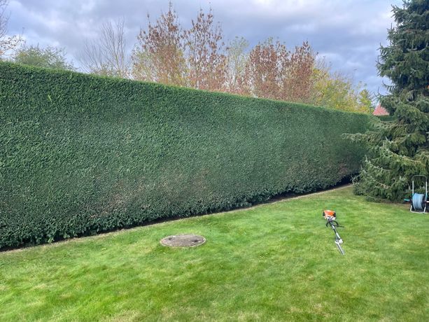 Beispielarbeit von Baum- und Gartenpflege Schifelbein GmbH - veröffentlicht auf Gartenbau.org