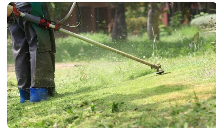 Beispielarbeit von Dienstleistungen Rund ums Haus - veröffentlicht auf Gartenbau.org
