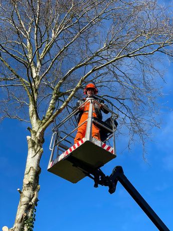 Beispielarbeit von Hausmeisterservice Bernhardt - veröffentlicht auf Gartenbau.org