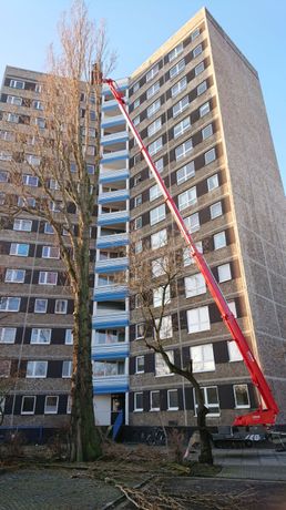 Beispielarbeit von Baumpflege und Pflasterservice Kai Spreer - veröffentlicht auf Gartenbau.org