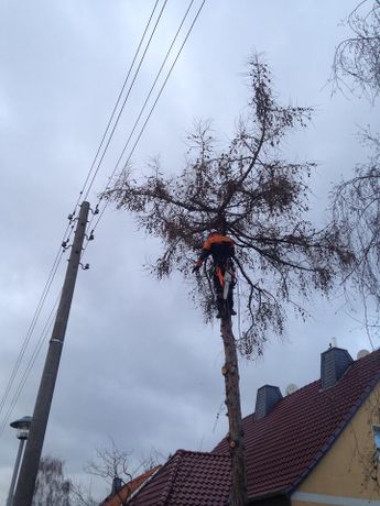 Beispielarbeit von Teich-Oasen Inh. Sören Thieme - veröffentlicht auf Gartenbau.org