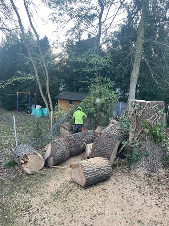 Beispielarbeit von Baum- und Gartenpflege Schifelbein GmbH - veröffentlicht auf Gartenbau.org