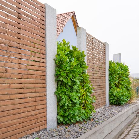Beispielarbeit von MARTIN-HANDWERK - veröffentlicht auf Gartenbau.org