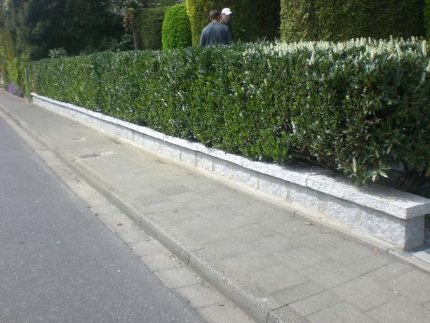 Beispielarbeit von Franz-Josef Hansen Gartenbau - veröffentlicht auf Gartenbau.org