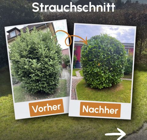 Beispielarbeit von Zörner & Klenke GbR - veröffentlicht auf Hausmeisterdienste.net