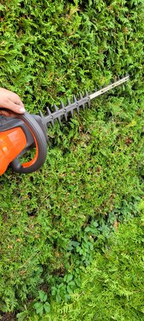 Beispielarbeit von BV Baumpflege Vorpommern GmbH - veröffentlicht auf Gartenbau.org