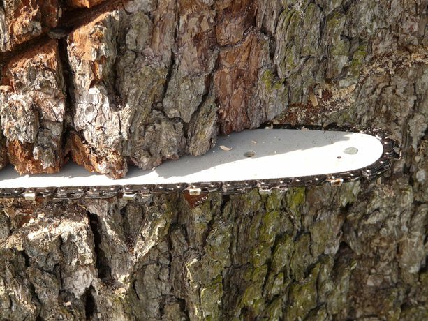 Beispielarbeit von ZIMMERMANN-GARTEN - veröffentlicht auf Gartenbau.org