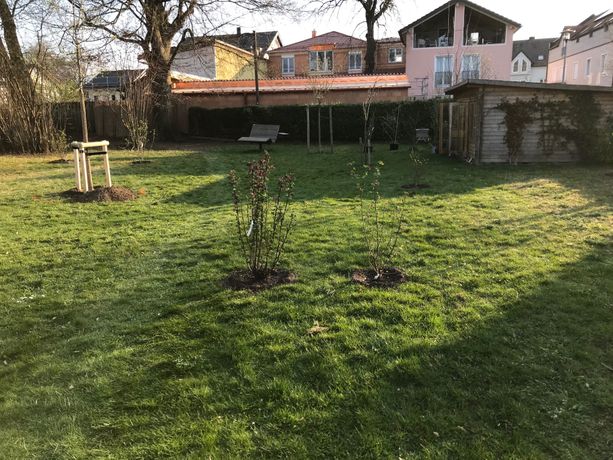 Beispielarbeit von Bamdeife Christoph Gilgen-Kunzlmann - veröffentlicht auf Gartenbau.org