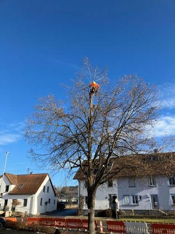 Beispielarbeit von Die Netzwerker gemeinnützige GmbH - veröffentlicht auf Gartenbau.org