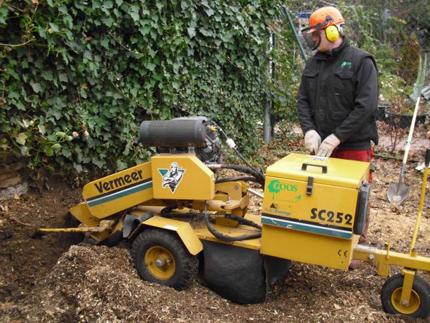 Beispielarbeit von Jörg Goos Baumpflege und Gartengestaltung - veröffentlicht auf Gartenbau.org