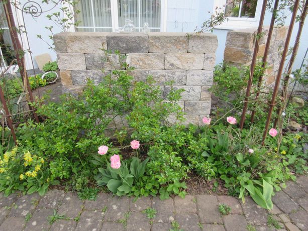 Beispielarbeit von Garten- u. Landschaftsbau Gerhard Endrich - veröffentlicht auf Gartenbau.org