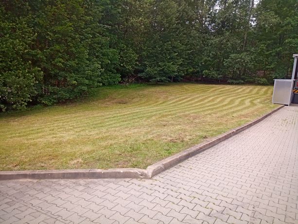 Beispielarbeit von Hausmeisterdienst Christa Müller - veröffentlicht auf Hausmeisterdienste.net