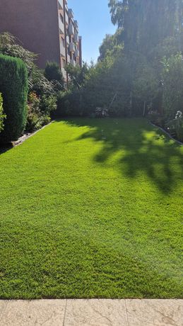 Beispielarbeit von ATTA-BAU - veröffentlicht auf Gartenbau.org