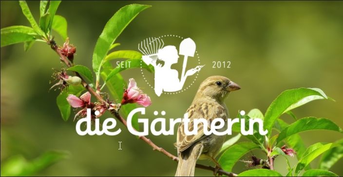 Beispielarbeit von die Gärtnerin, Inh. Catharina Baldauf - veröffentlicht auf Gartenbau.org