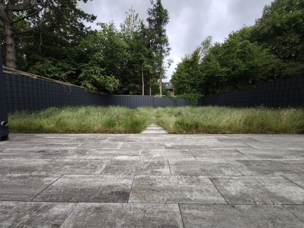 Beispielarbeit von Gartenbarbier - veröffentlicht auf Gartenbau.org