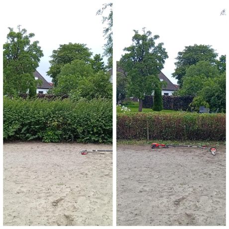 Beispielarbeit von GHS - veröffentlicht auf Gartenbau.org