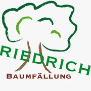 Baumfällung Friedrich in Berlin
