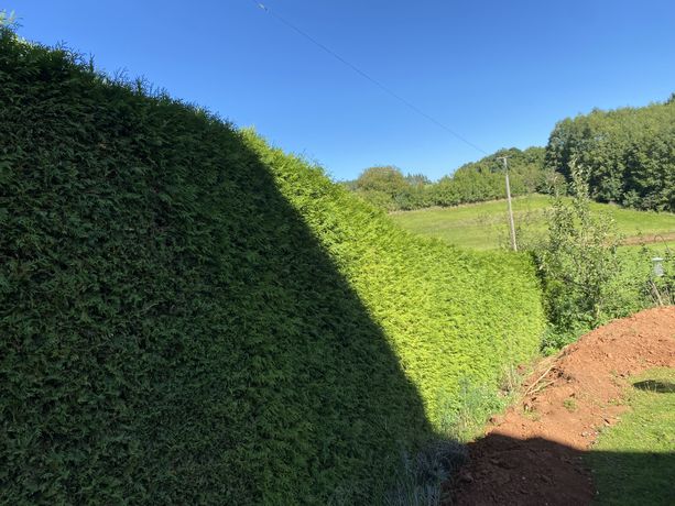 Beispielarbeit von Adlan Garten und Landschaftsbau & Gebäudereinigung - veröffentlicht auf Gartenbau.org