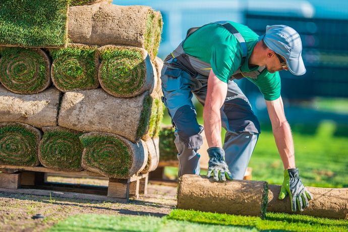 Beispielarbeit von Moser the green wallart - veröffentlicht auf Gartenbau.org