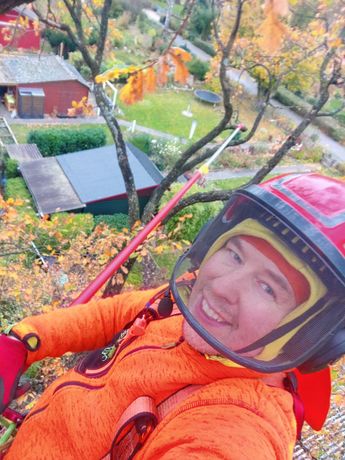 Beispielarbeit von DIBBERNs Baumdienst – Ihr Baumpfleger in Hamburg - veröffentlicht auf Gartenbau.org