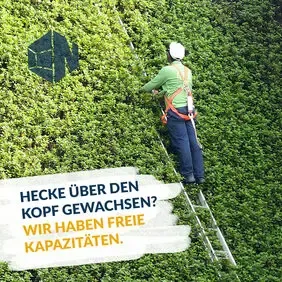 Beispielarbeit von Novasax GmbH - veröffentlicht auf Gartenbau.org