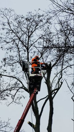 Beispielarbeit von Evers-Garten - veröffentlicht auf Gartenbau.org