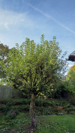 Beispielarbeit von Sehlke&Grün - veröffentlicht auf Gartenbau.org