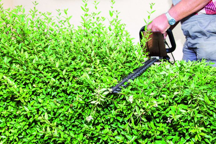 Beispielarbeit von Garten- und Landschaftsbau Löffler Inh. Kerstin Geißler - veröffentlicht auf Gartenbau.org