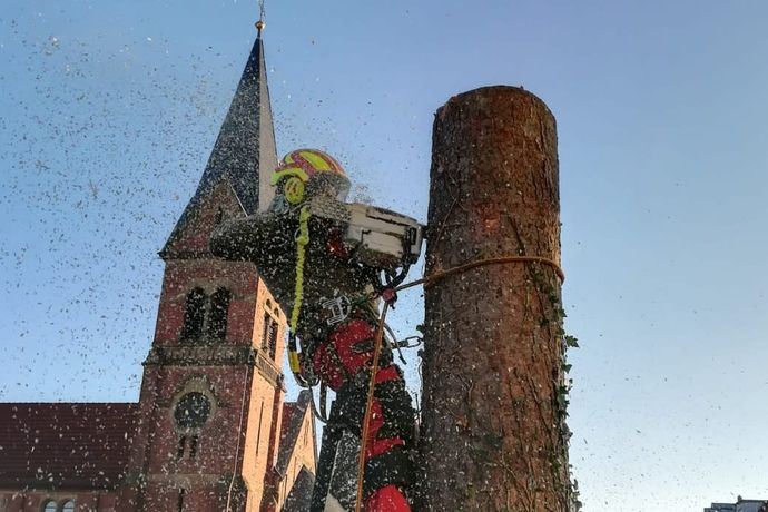 Beispielarbeit von Garten Michel - Michael Kungel - veröffentlicht auf Gartenbau.org