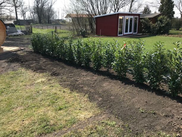 Beispielarbeit von Bamdeife Christoph Gilgen-Kunzlmann - veröffentlicht auf Gartenbau.org