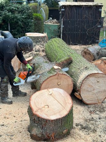Beispielarbeit von MP Baum&Garten - veröffentlicht auf Gartenbau.org