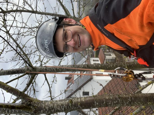 Beispielarbeit von MW Dienstleistungen Rund um Haus, Hof & Garten - veröffentlicht auf Gartenbau.org