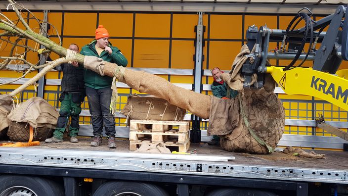 Beispielarbeit von Pflanzenverkauf Münch GmbH - veröffentlicht auf Gartenbau.org