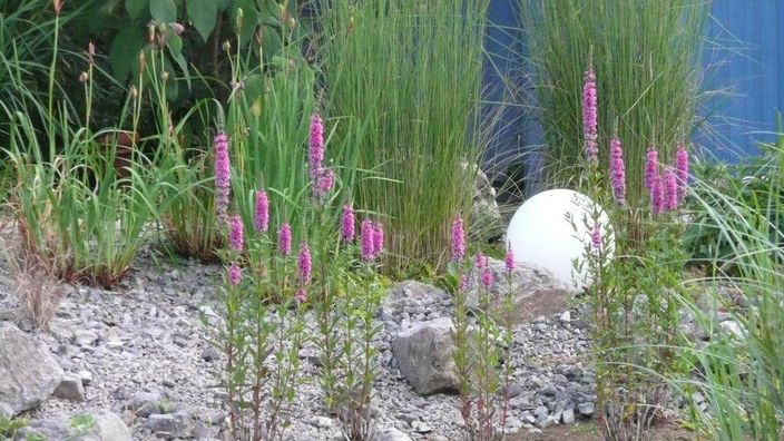 Beispielarbeit von Naturnaher Gartenbau Hagen Peter Albrecht - veröffentlicht auf Gartenbau.org