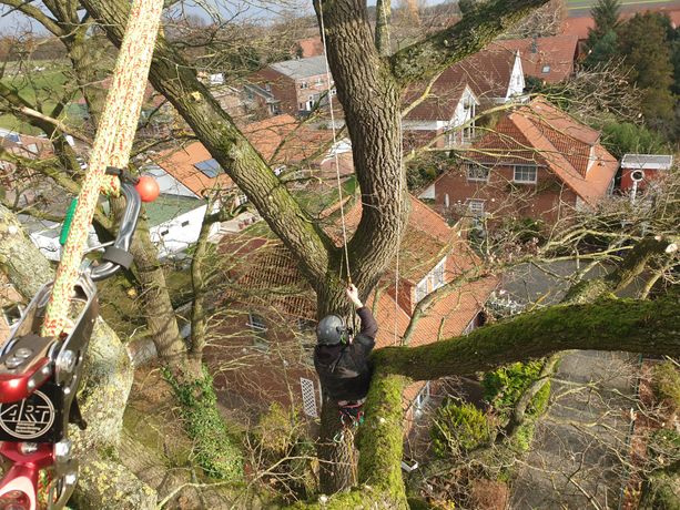 Beispielarbeit von DK-Garten- und Landschaftsbau - veröffentlicht auf Gartenbau.org