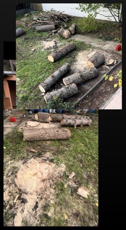Beispielarbeit von SOS Hausmeister Service - veröffentlicht auf Gartenbau.org